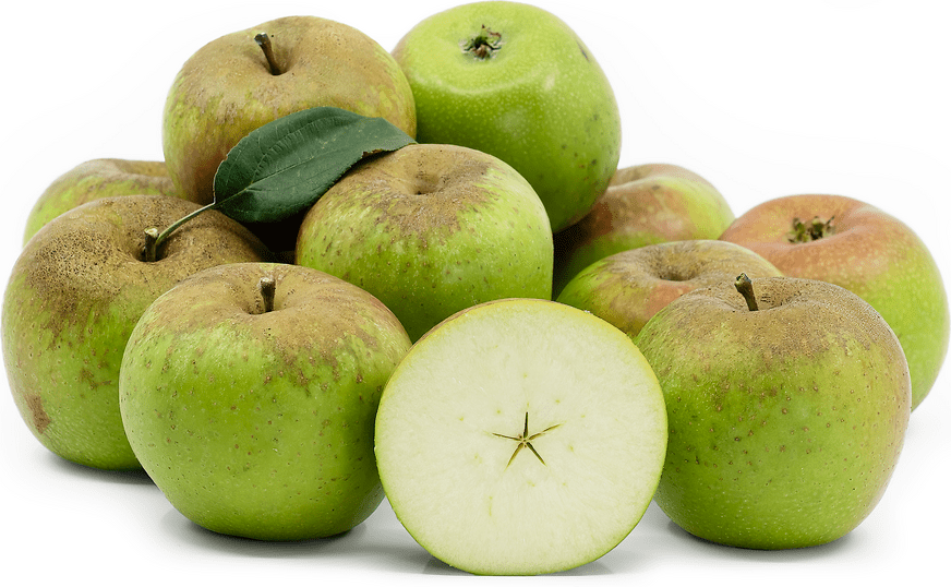 Spencer Apples Information and Facts