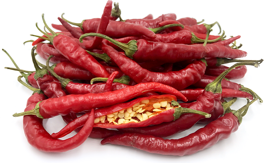 Hot Portugal Chile Peppers Information and Facts