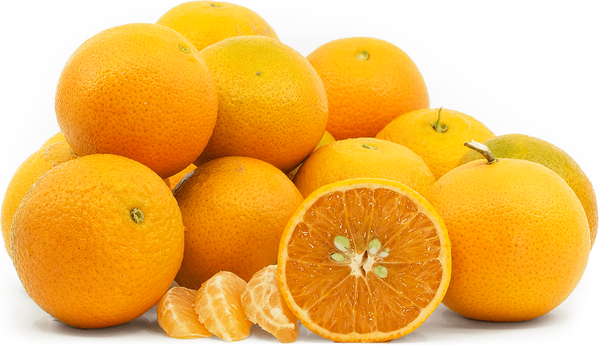 Page Tangerines Information and Facts