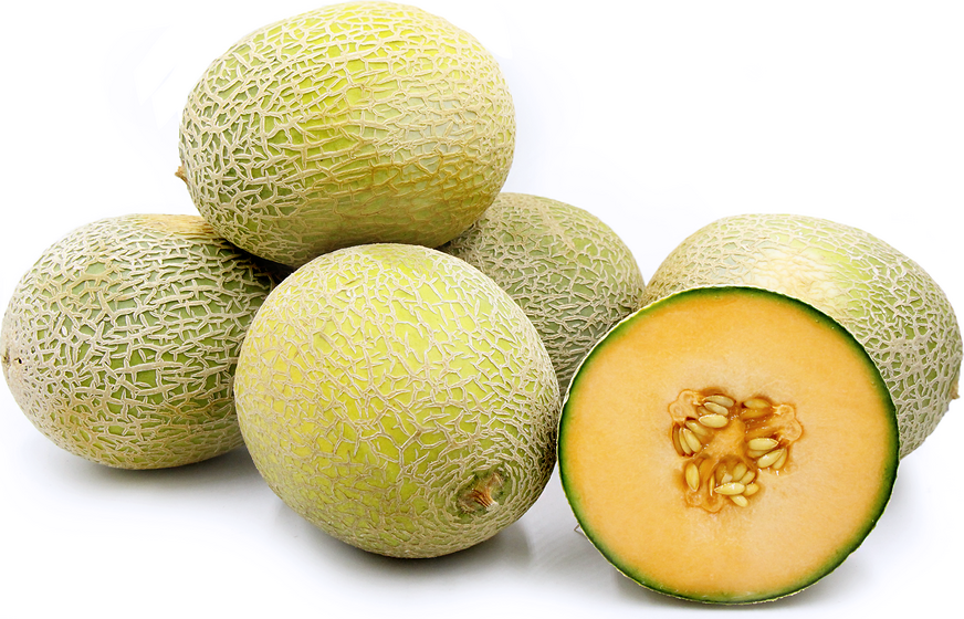 Harper Melons Information and Facts