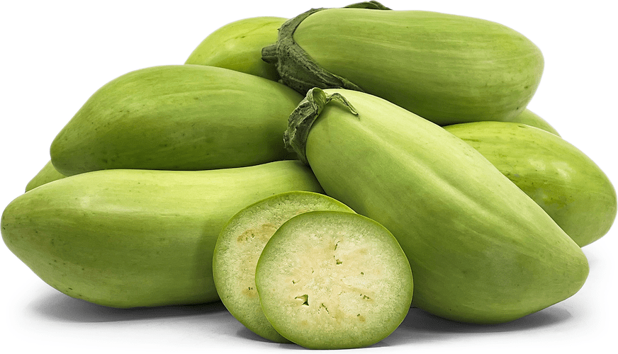 Green Eggplant Information and Facts