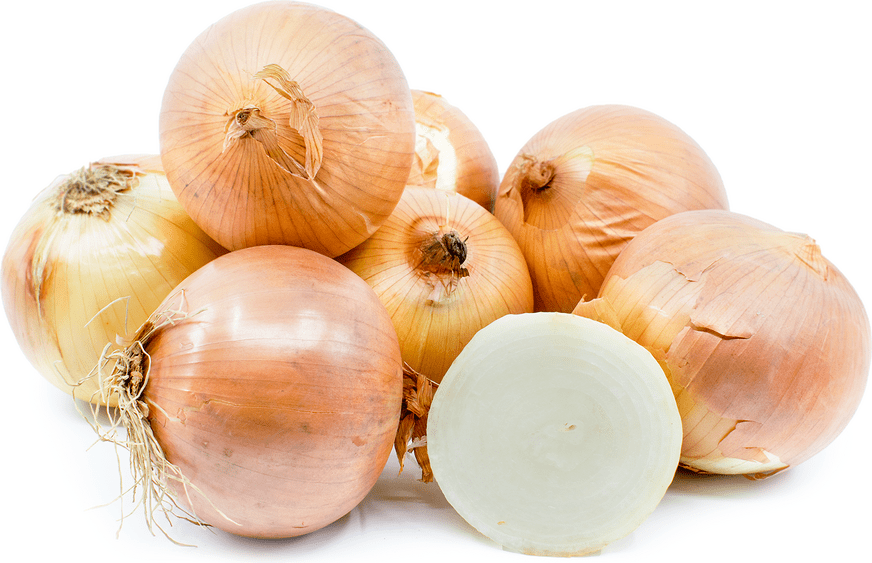 Texas 1015 Sweet Onions Information, Recipes and Facts