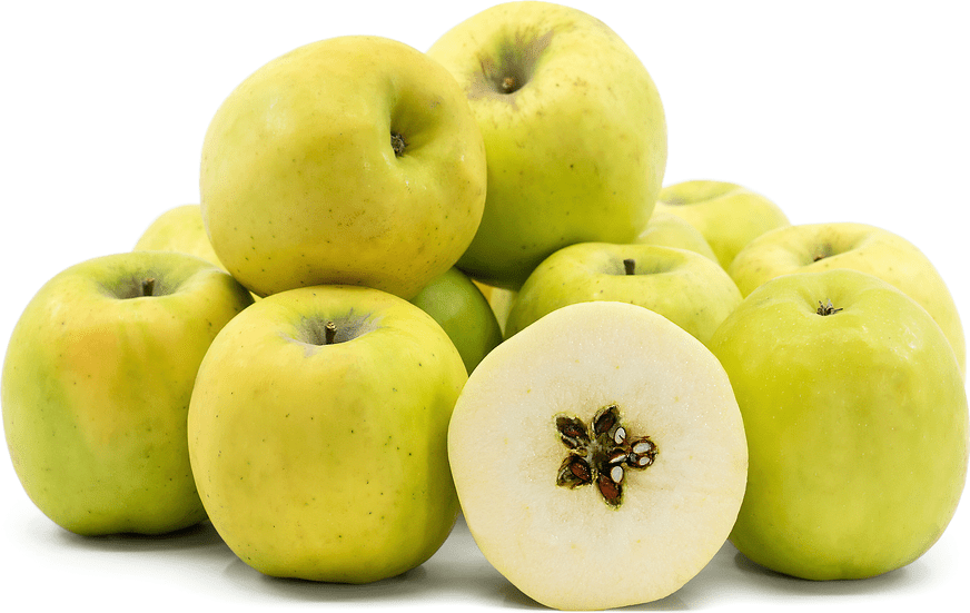 Bellflower Apple Information and Facts