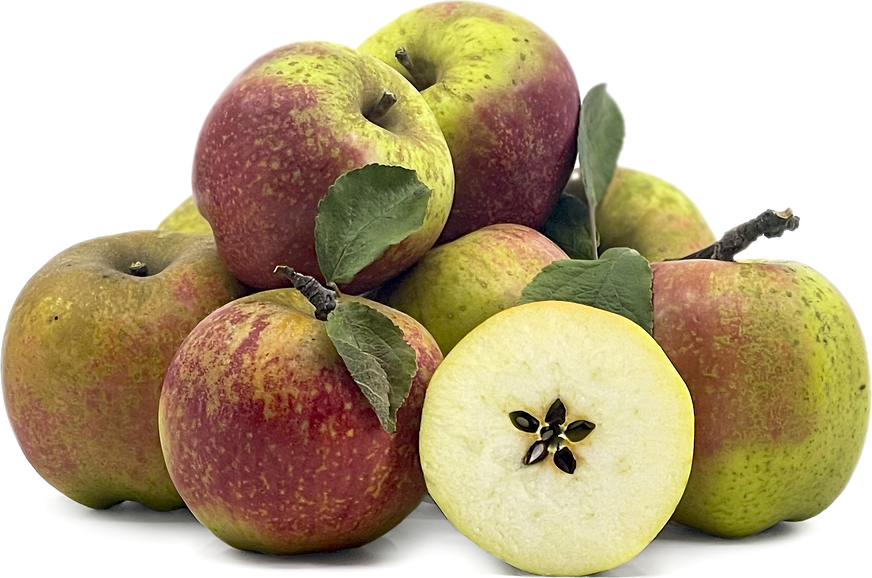Cornish Aromatic Apples Information and Facts