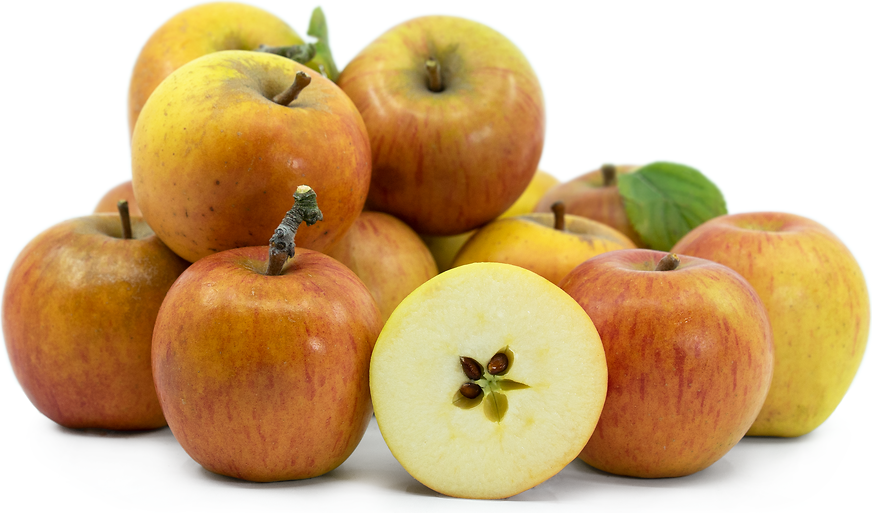 King of the Pippins Apples Information and Facts