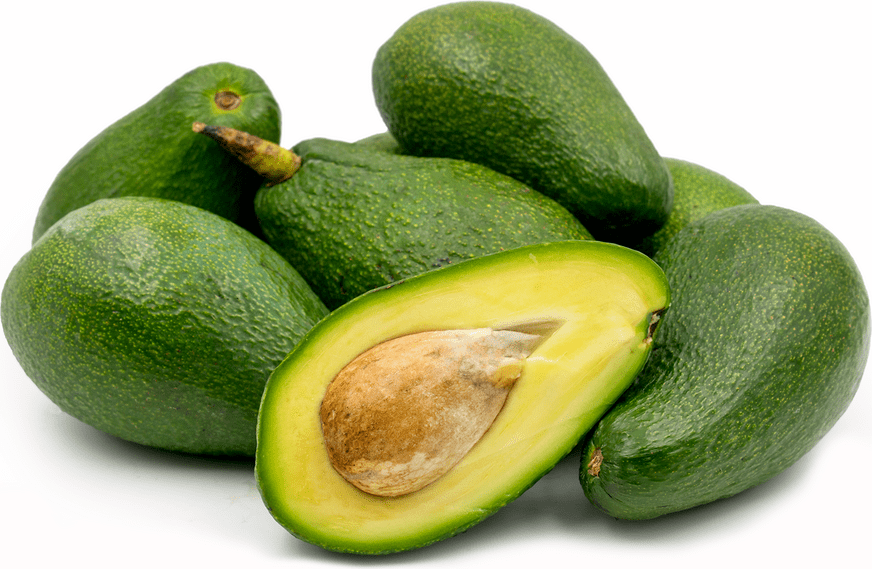 Spencer Avocados Information and Facts
