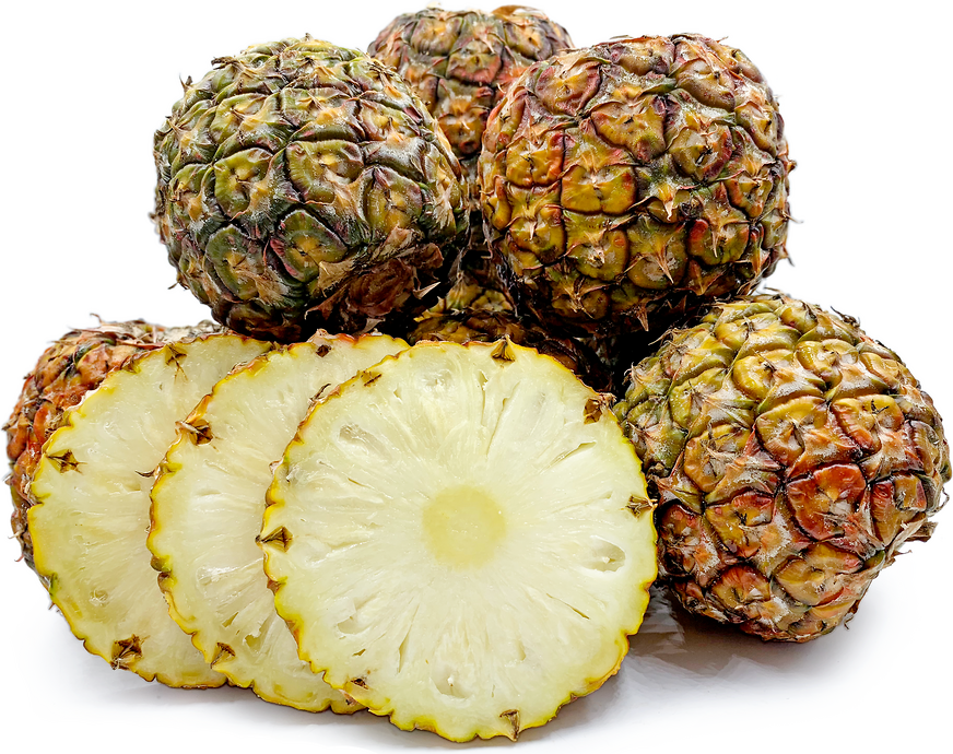 Honey Cream Pineapple Information and Facts