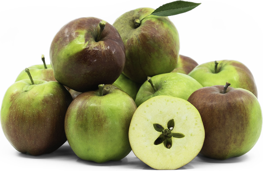 Cornish Gilliflower Apples Information and Facts