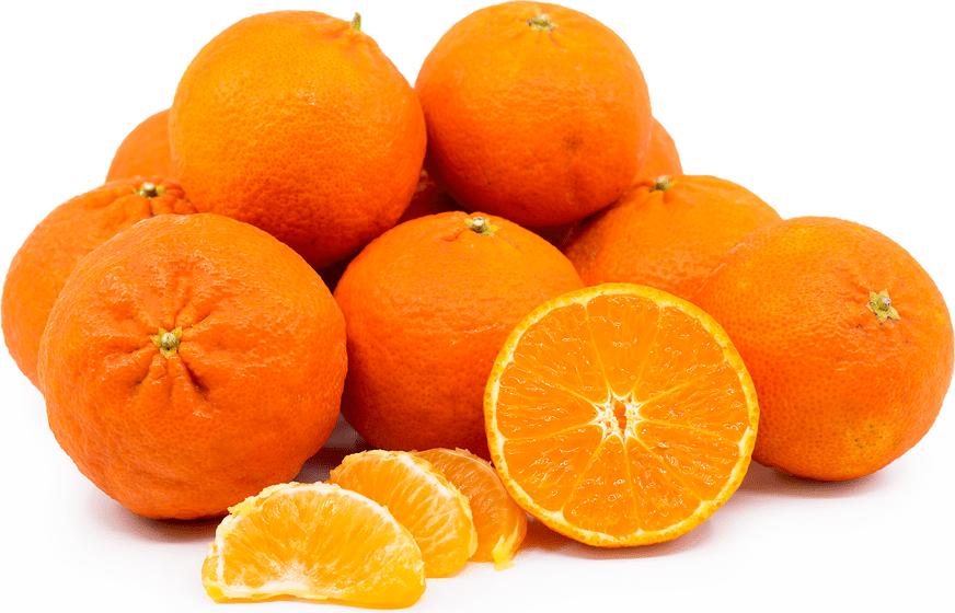 Tango Tangerines Information and Facts