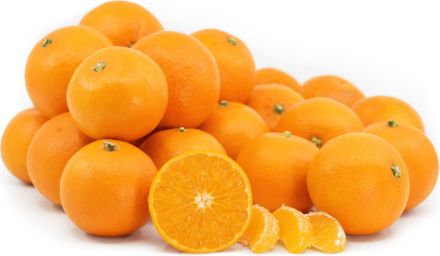 Fortune Mandarins Information and Facts