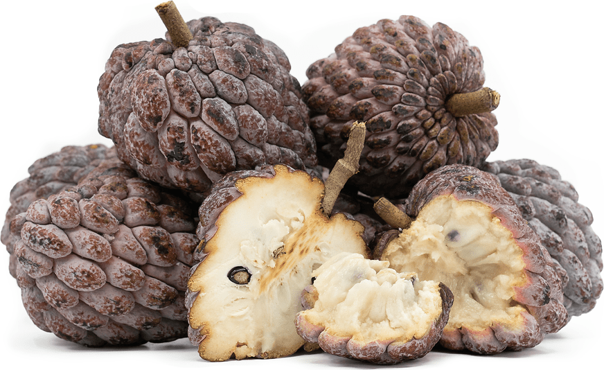 Annona Information and Facts