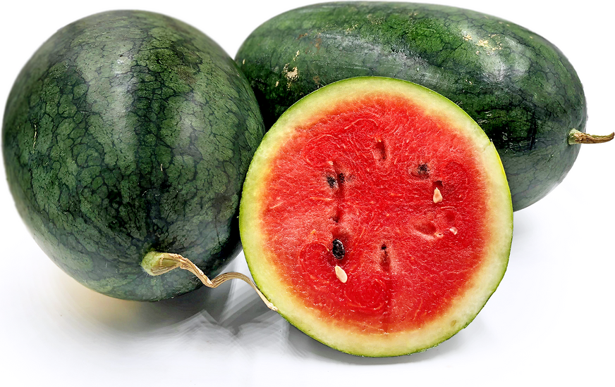 Black Beauty Watermelons Information and Facts
