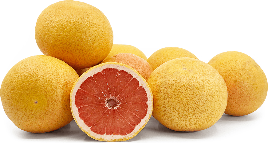 Cyprus Grapefruit Information and Facts