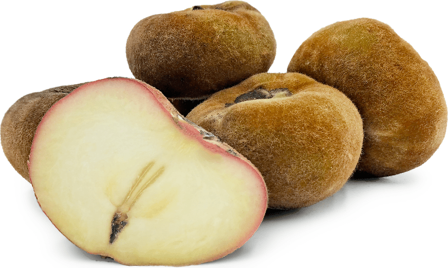 Velvet Apple Information and Facts