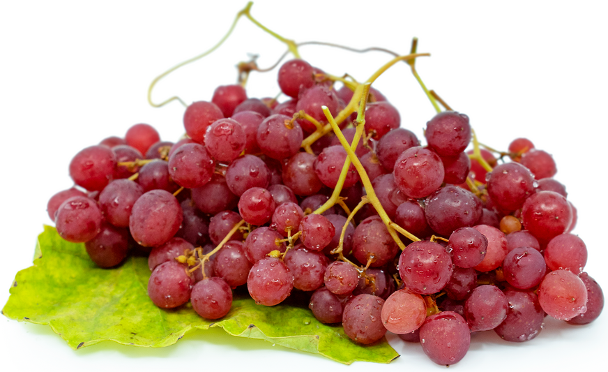 RazzMatazz Grapes Information and Facts