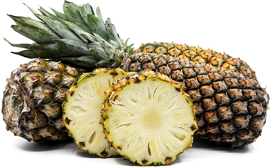 African Pineapples Information and Facts