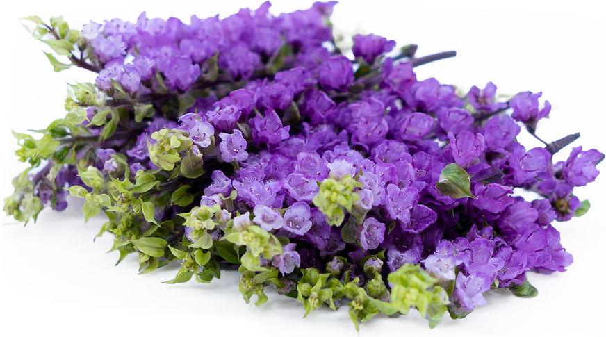 Hanaho Flowers Information and Facts