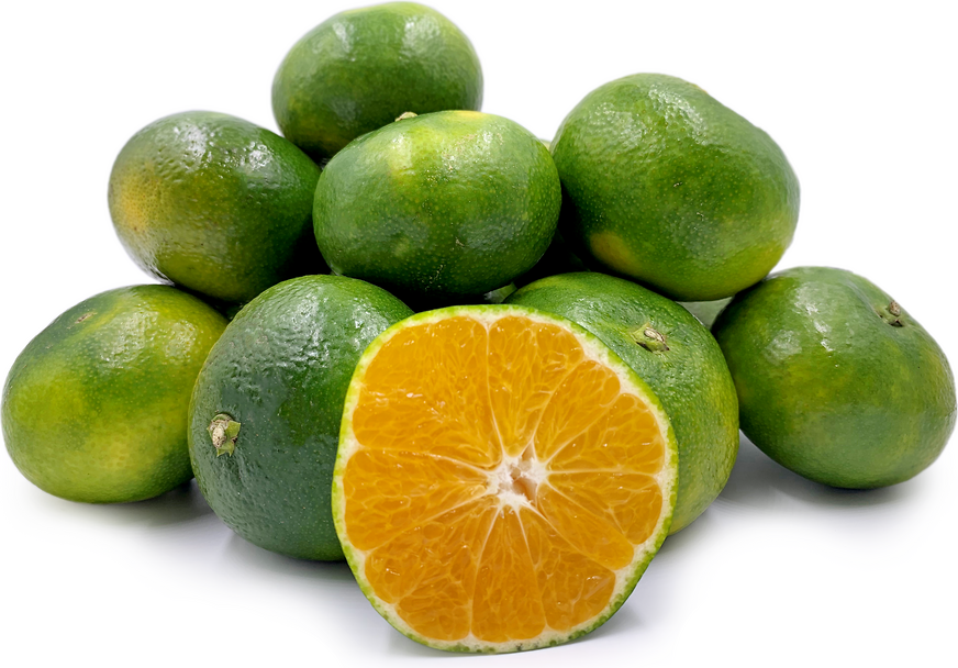 Peruvian Mandarins Information and Facts