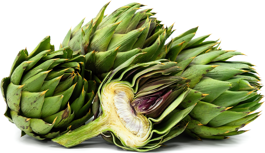 Peruvian Artichokes Information and Facts