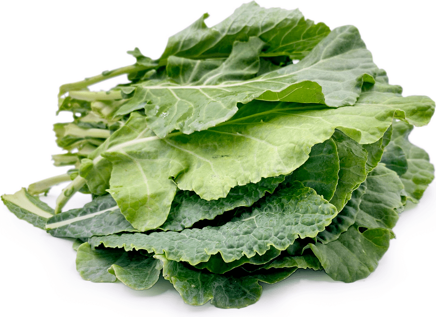 Brazilian Kale Information and Facts