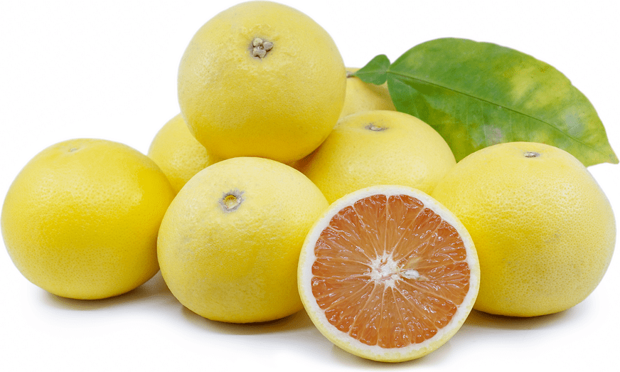 Marsh Ruby Grapefruit Information and Facts