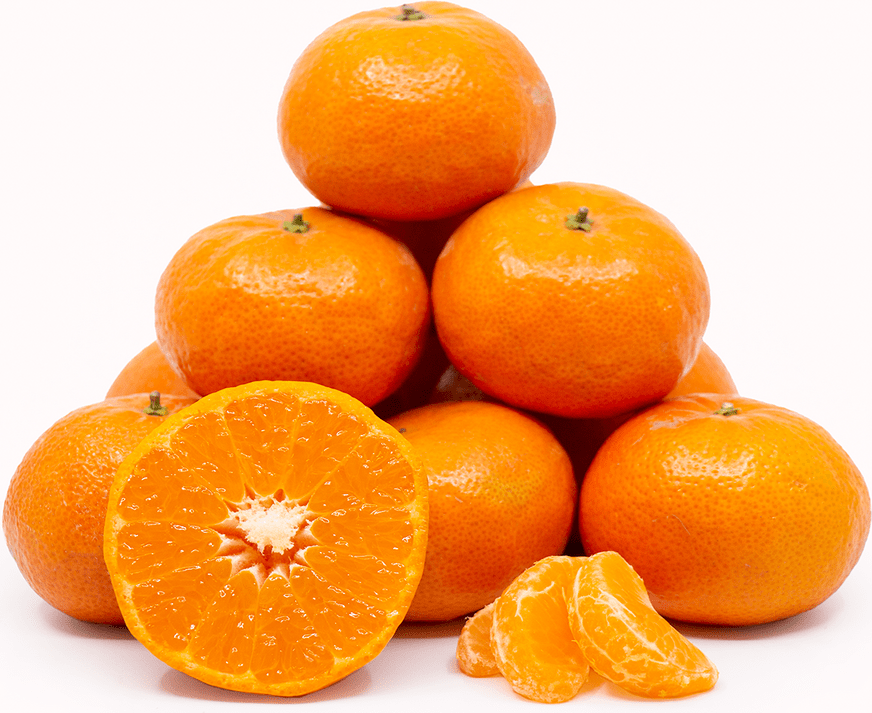 Tango Tangerines Information and Facts