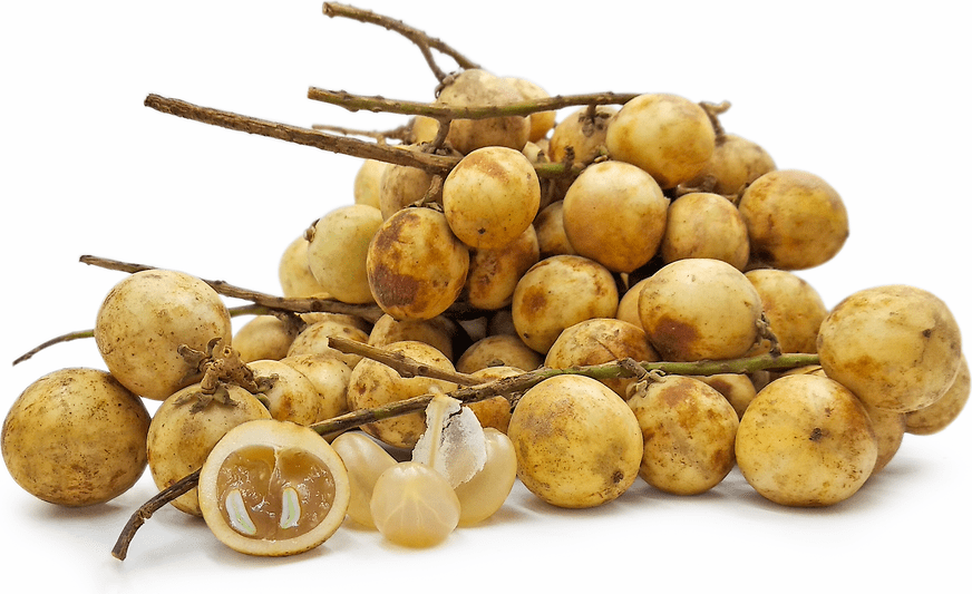 Rambai Fruit Information and Facts