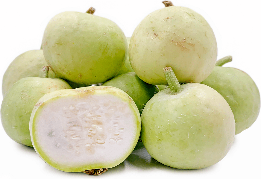 West African Tinda Information and Facts