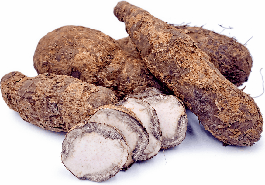 West African Coco Yams Information and Facts