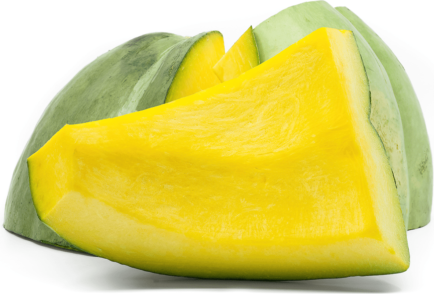 Zapallo Macre Squash Information and Facts