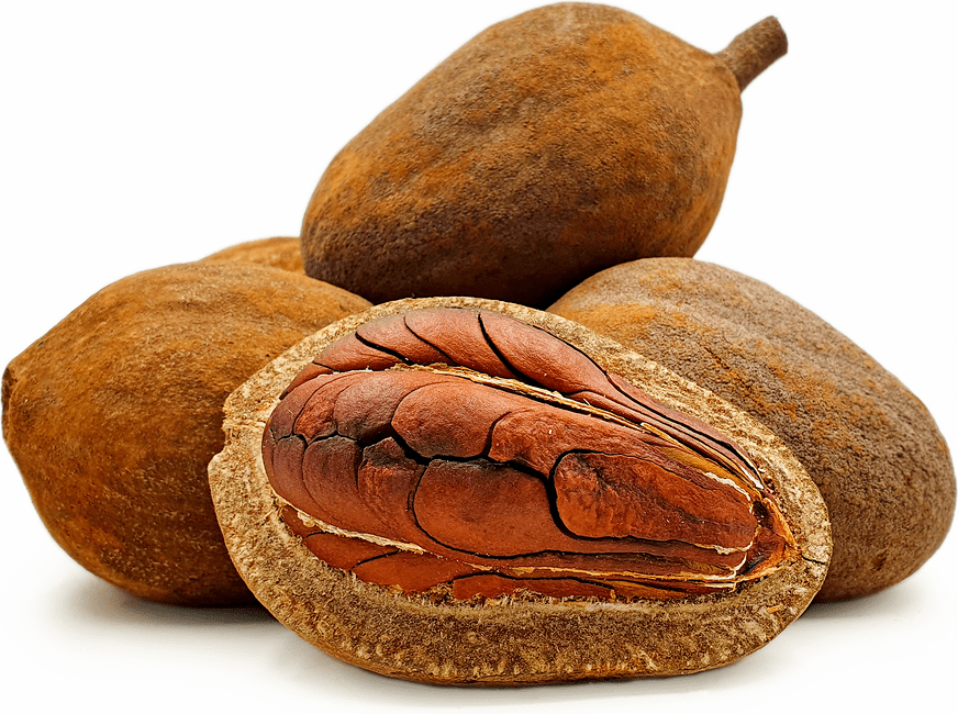 Mahoni Fruit Information and Facts