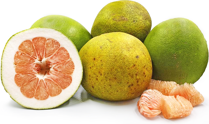 Malaysian Pomelos Information and Facts