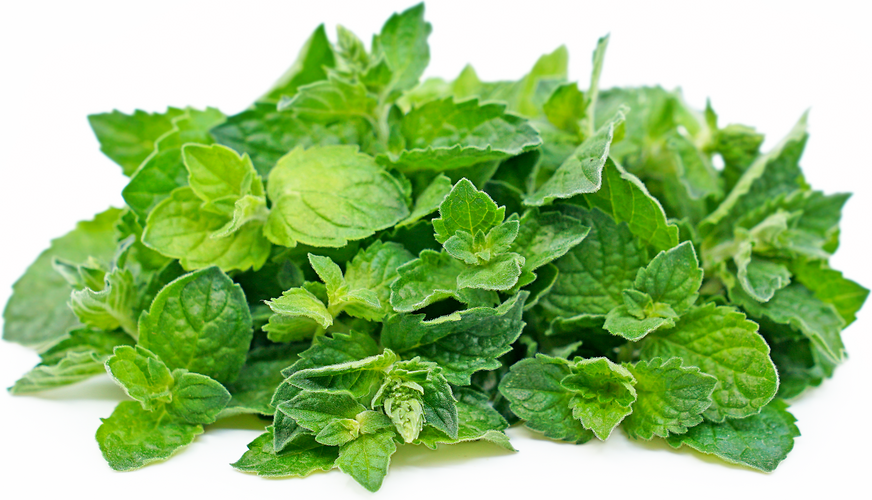 Grapefruit Mint Information and Facts