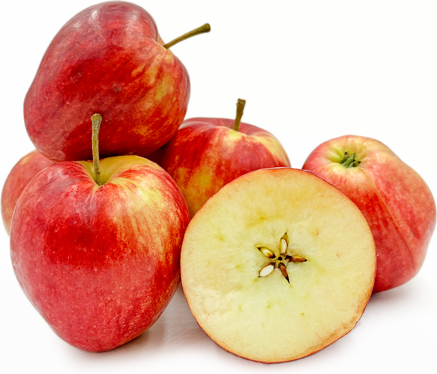 Norland Apples Information and Facts