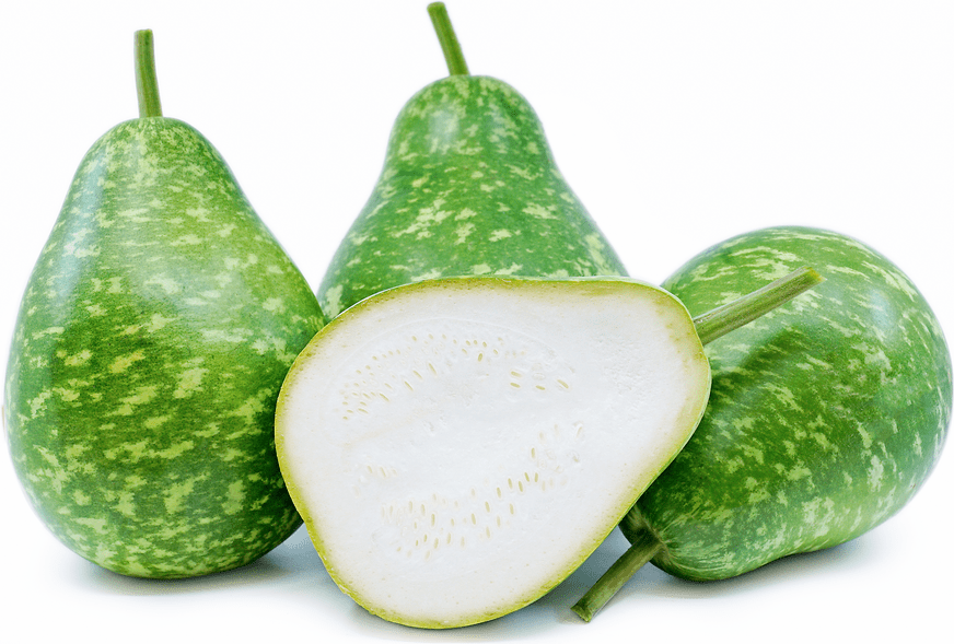 Calabash Squash Information and Facts