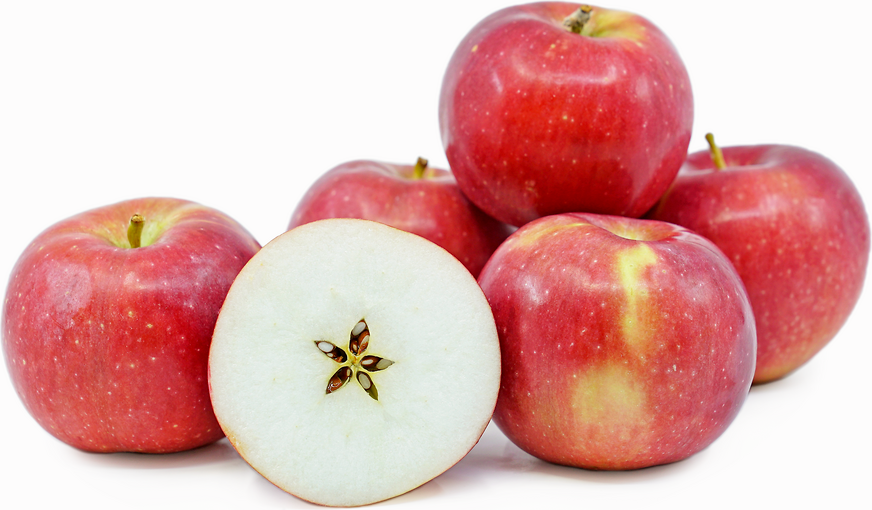 Jonamac Apples Information and Facts
