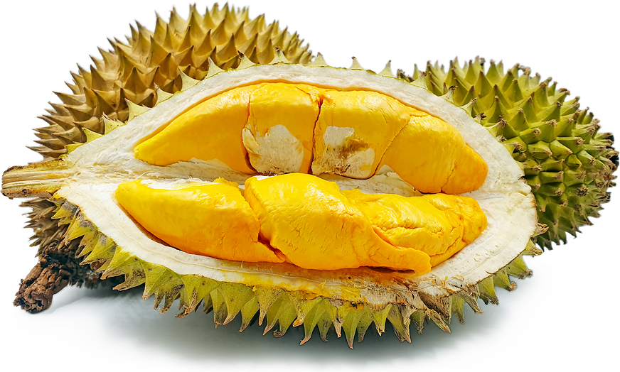 buah lai in english
