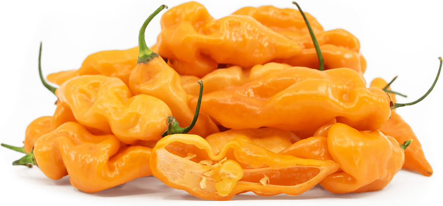 Habanada Peppers Information, Recipes and Facts