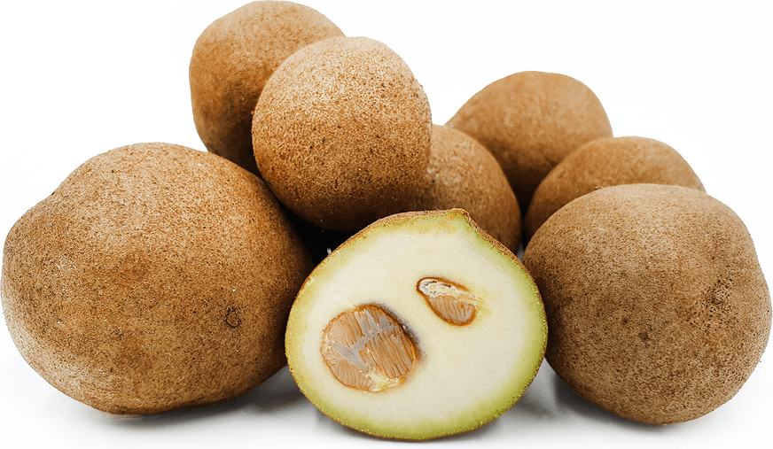 Kepel Fruit Information and Facts