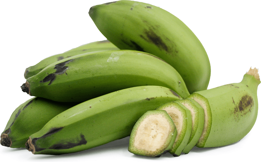 Guineo Bananas Information, Recipes and Facts