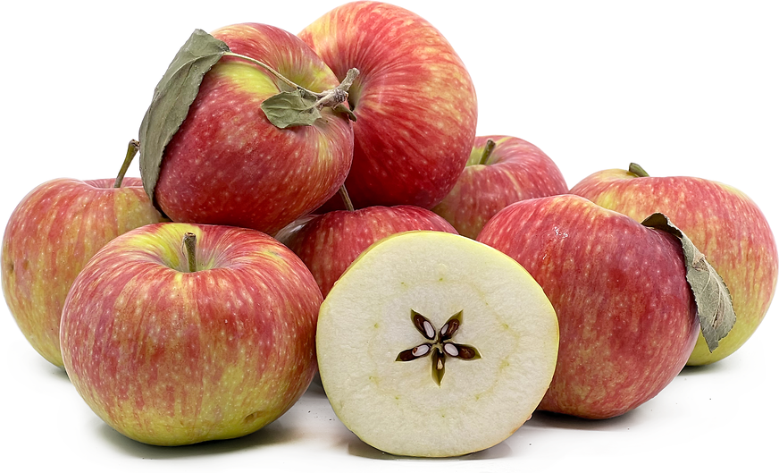 Melba Apples Information, Recipes and Facts