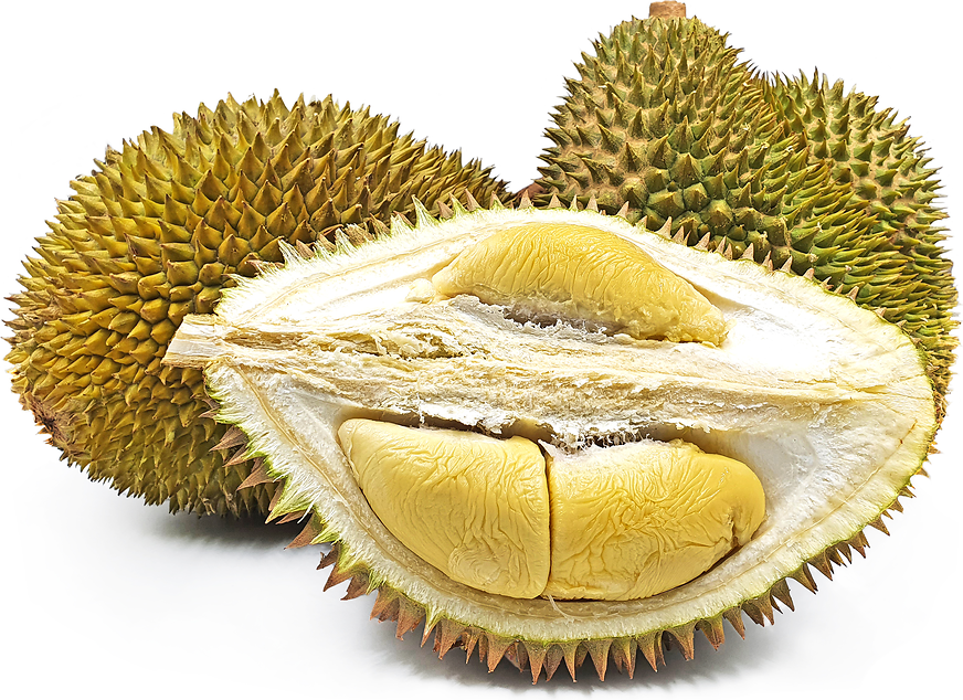 Sultan Durian Information, Recipes and Facts