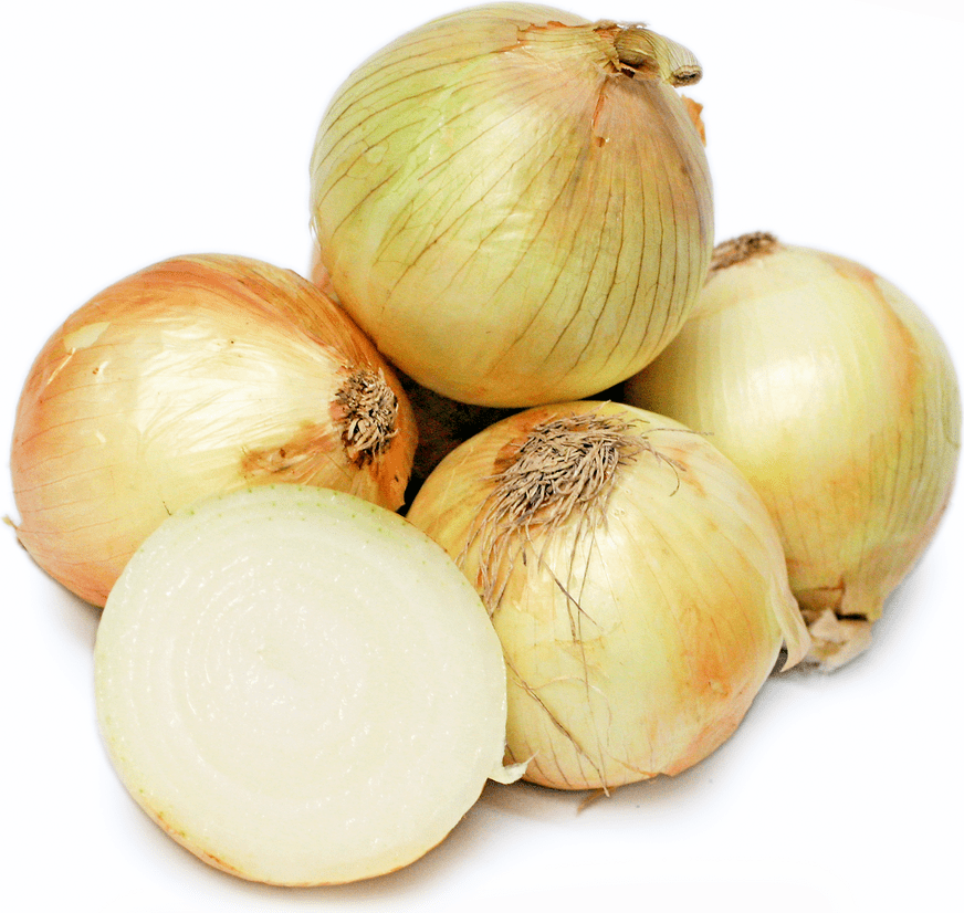 California Sweet Onions 1015 Information, Recipes and Facts