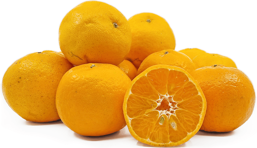 Taiwanese Ponkan Tangerines Information and Facts