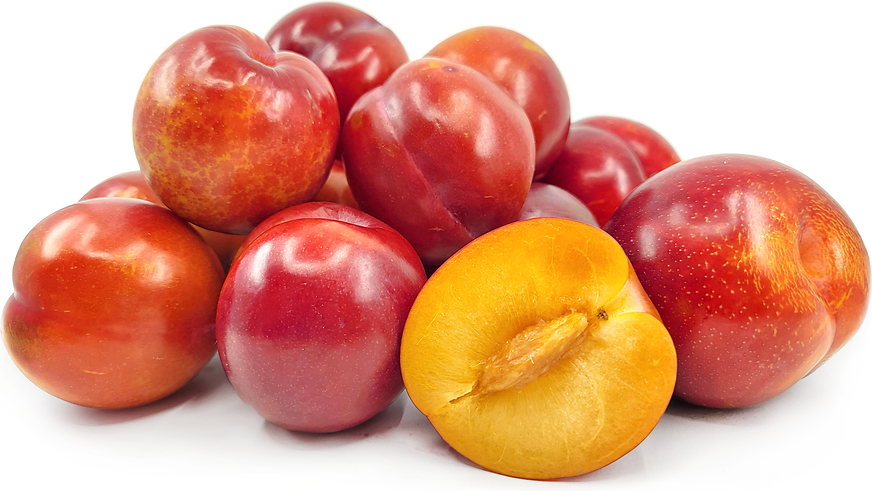 Amber Jewel Plums Information and Facts