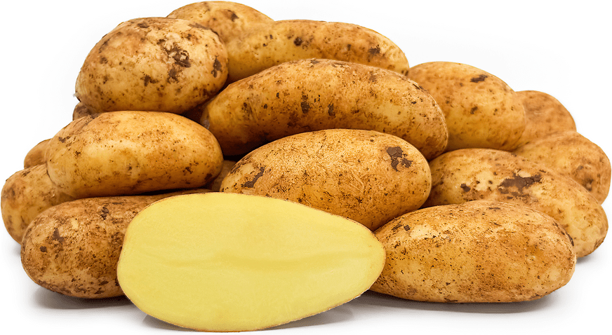 Annabelle Potatoes Information and Facts
