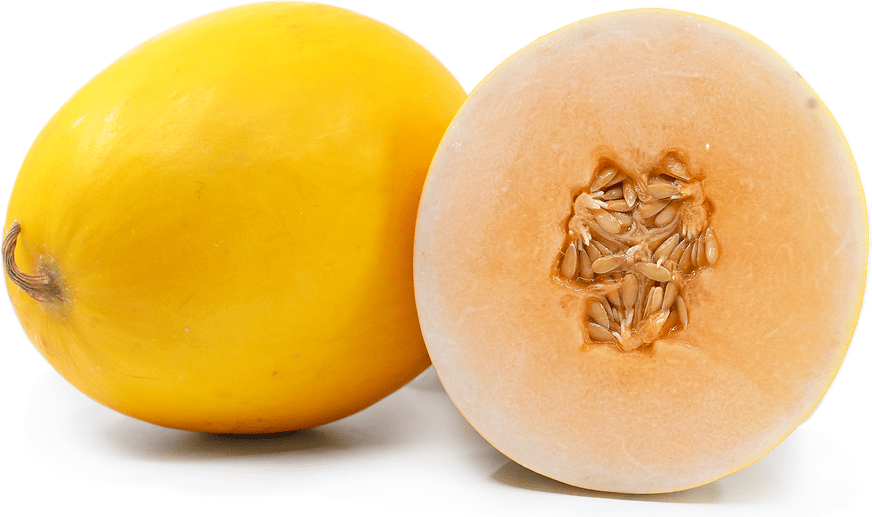 Sun Melons Information and Facts