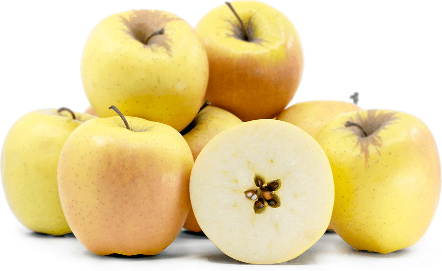Golden Rose Apples Information and Facts