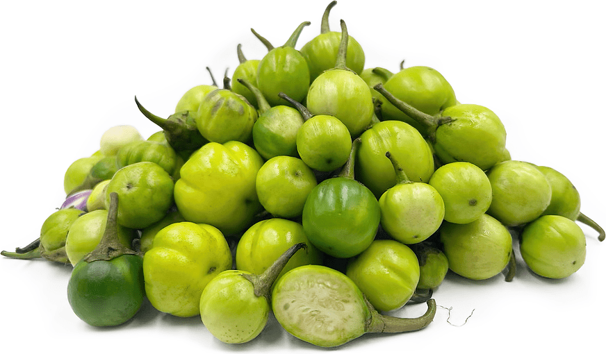 Green Indian Eggplant Information and Facts
