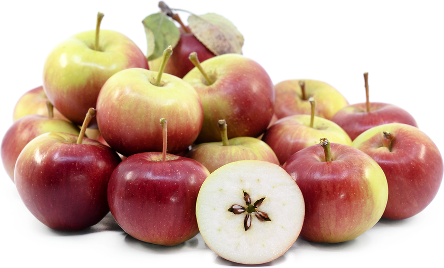 Saguenay Apples at Roger Sager blog